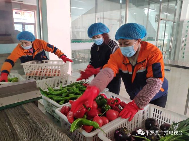 智惠校园商城：智慧教育新篇章